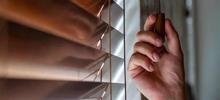 Double Roller Blinds in Foster City, CA