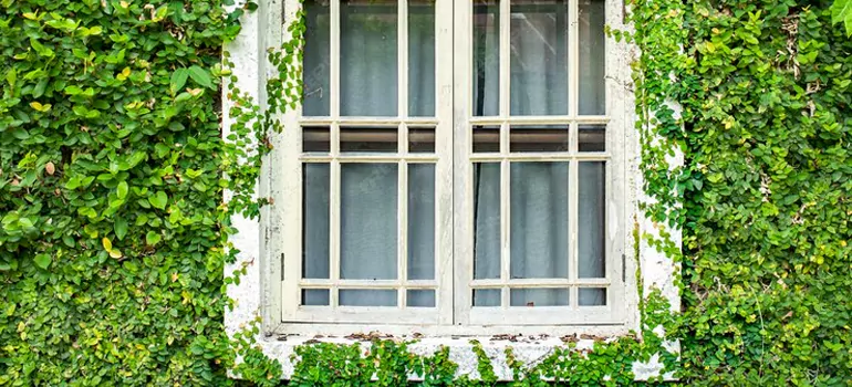 Garden Window Repair Near Me in Foster City, CA