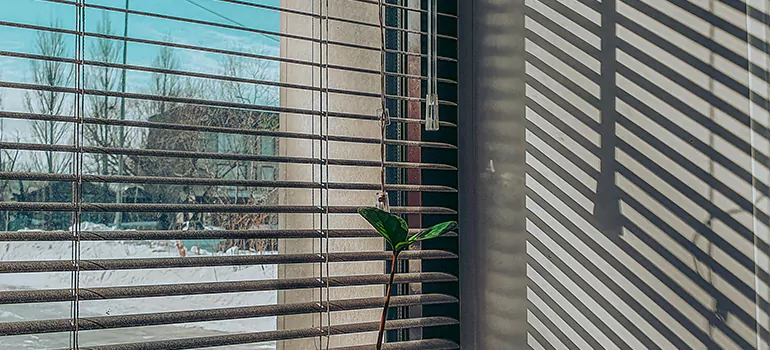 Commercial Window Blinds in Foster City, CA