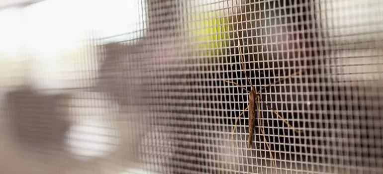 Repair Mosquito Mesh For Windows in Foster City, CA
