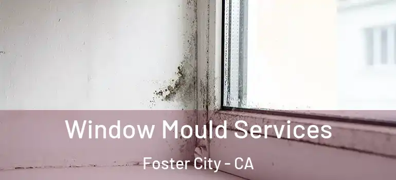  Window Mould Services Foster City - CA